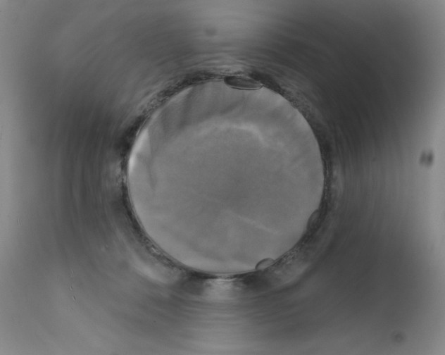 X0000111480320200908251008