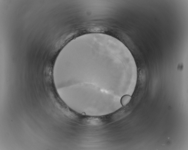 X0000111480322200908251008