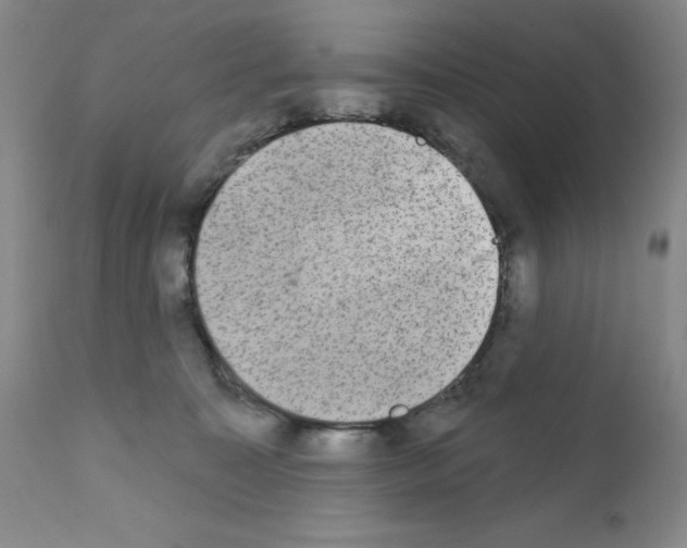 X0000111480323200908251008