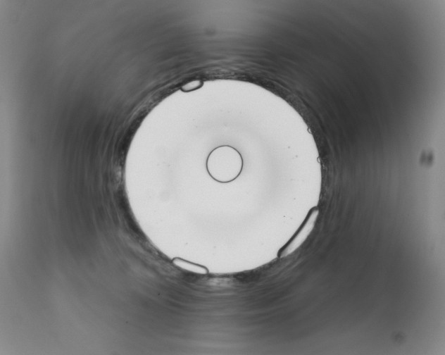 X0000111480324200908251007