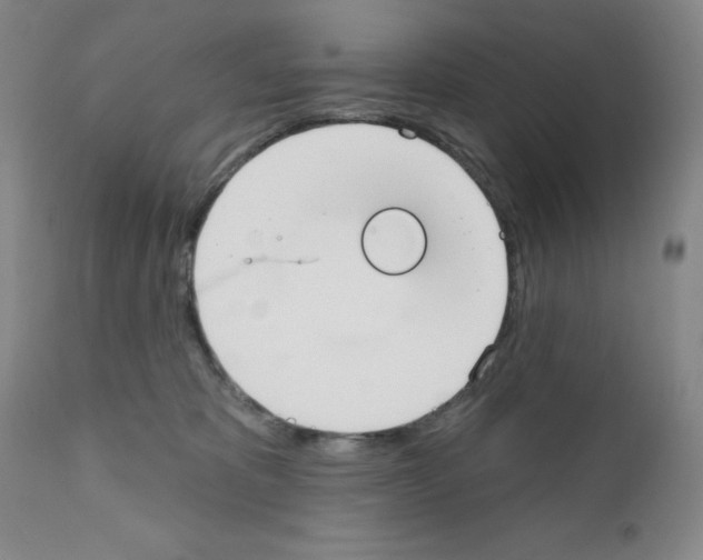 X0000111480325200908251007