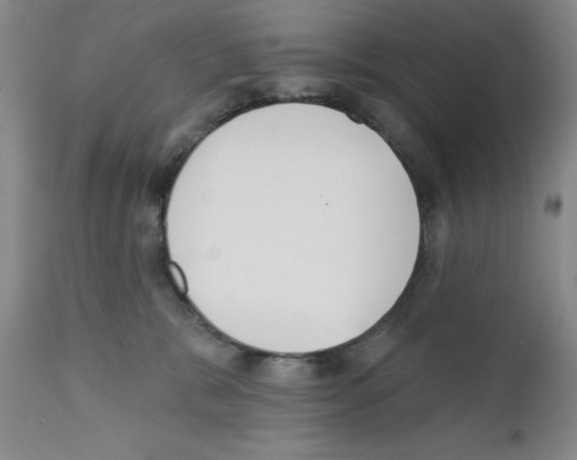 X0000111480327200908251007