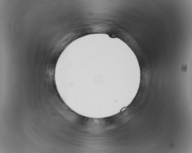X0000111480329200908251007