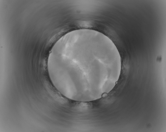 X0000111480330200908251007