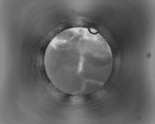 X0000111480331200908251007