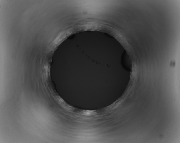 X0000111480333200908251007