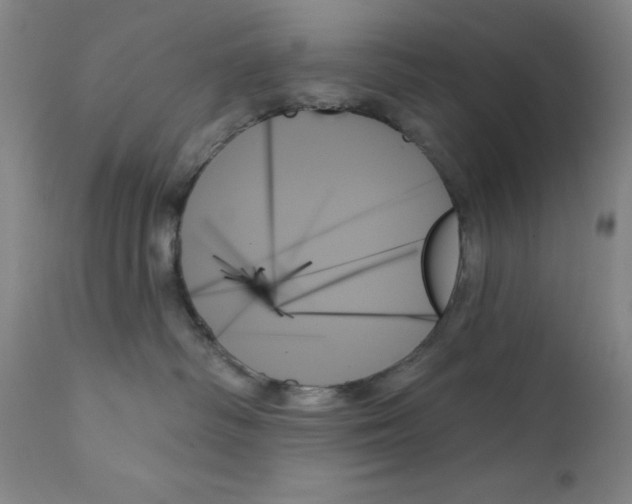 X0000111480334200908251007