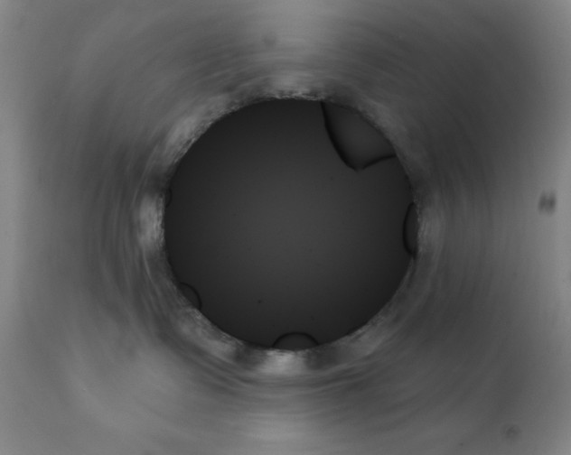 X0000111480335200908251007