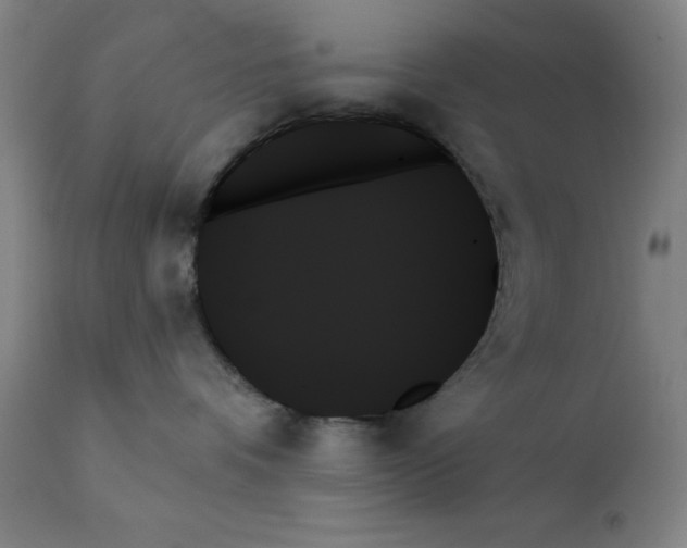 X0000111480336200908251007
