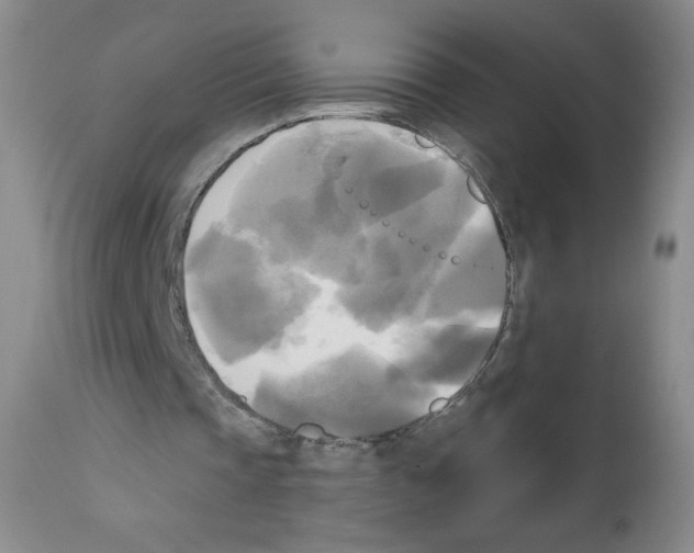 X0000111480337200908251006