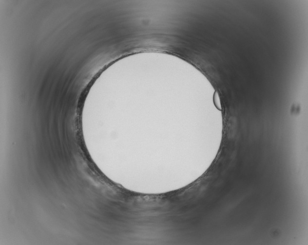 X0000111480338200908251007