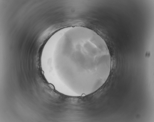 X0000111480339200908251007