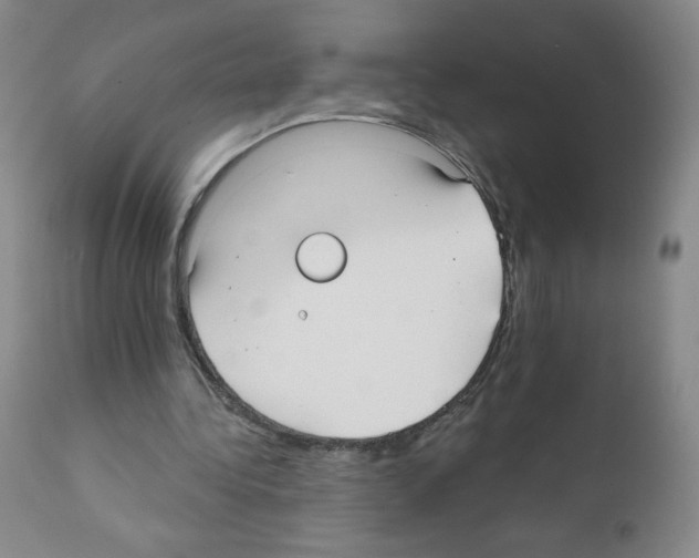 X0000111480340200908251007