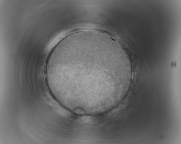 X0000111480341200908251007