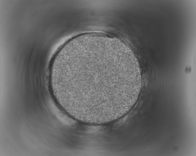 X0000111480342200908251007