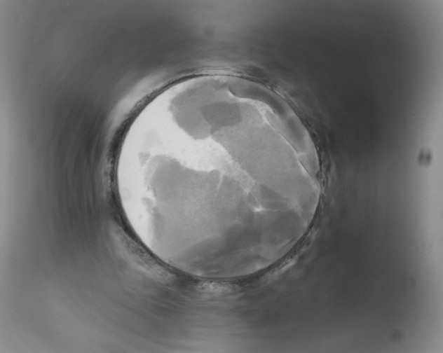 X0000111480343200908251007