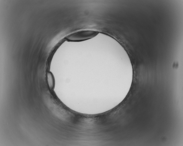 X0000111480344200908251007