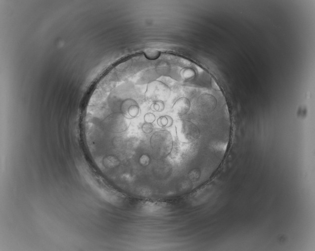 X0000111480346200908251007