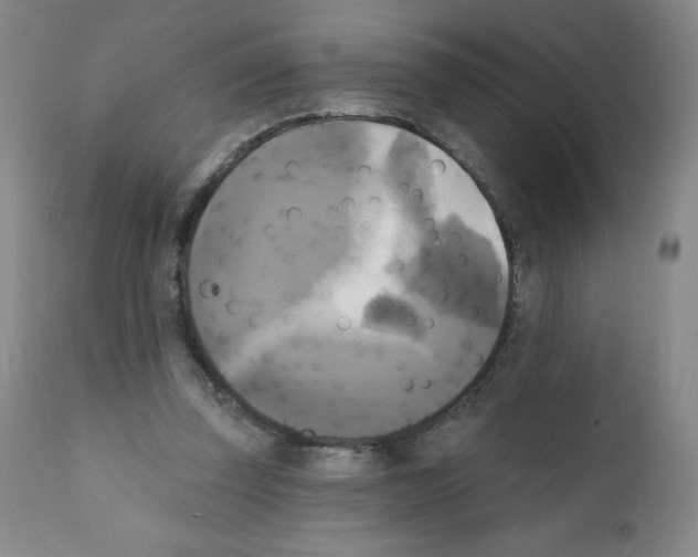 X0000111480347200908251007