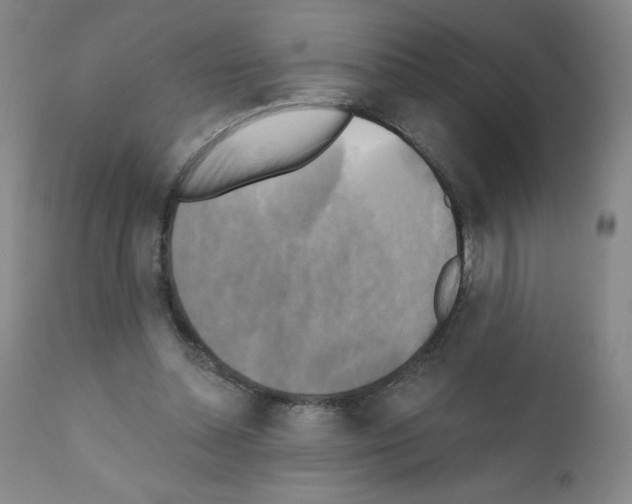X0000111480348200908251007