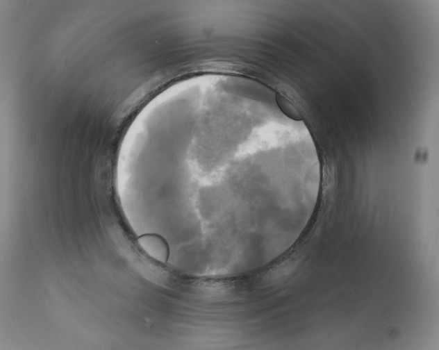 X0000111480349200908251007