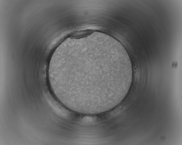 X0000111480350200908251007