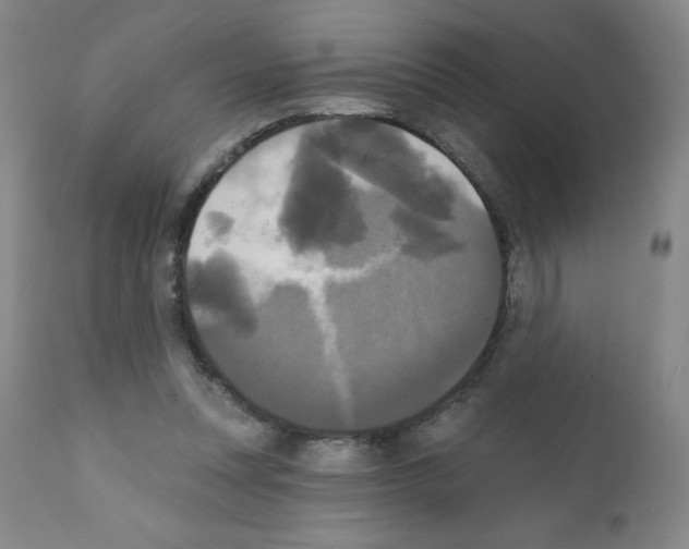 X0000111480351200908251007