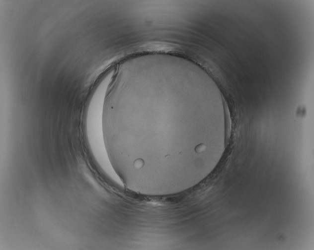X0000111480352200908251007