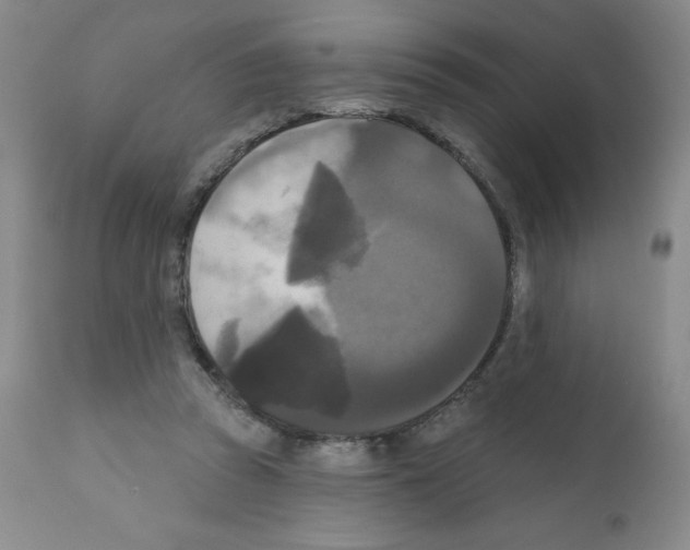 X0000111480353200908251007