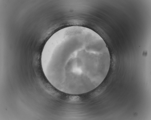 X0000111480355200908251007