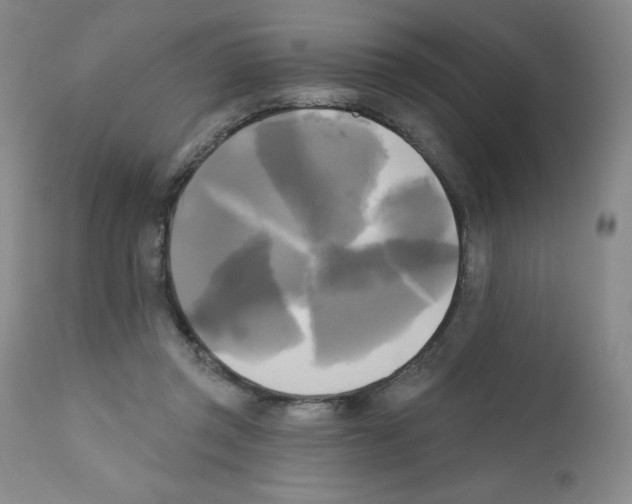 X0000111480357200908251007