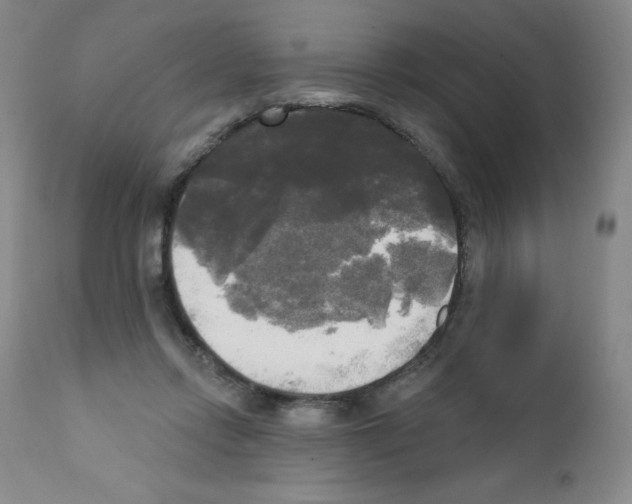 X0000111480358200908251007