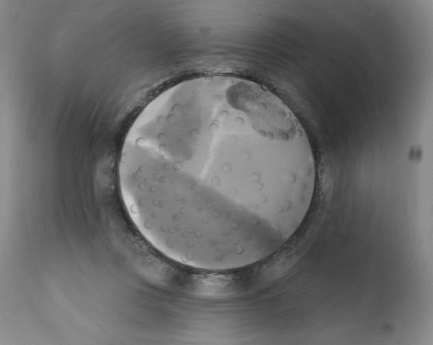X0000111480359200908251007
