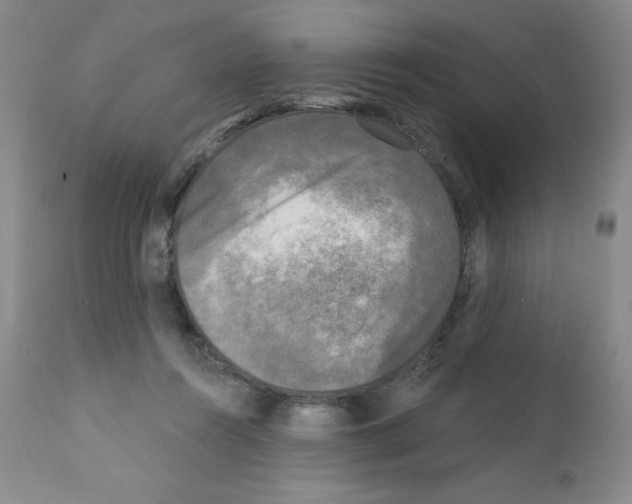 X0000111480360200908251007