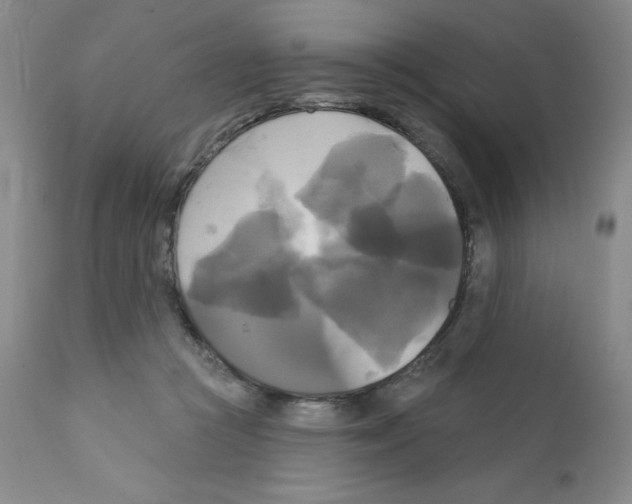X0000111480361200908251007