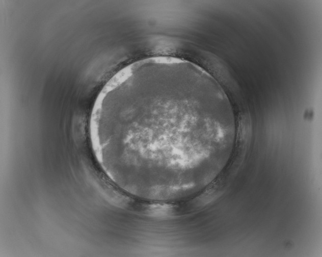 X0000111480363200908251007