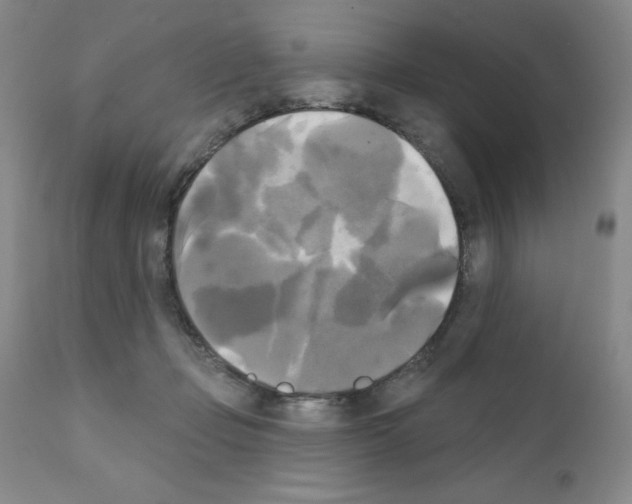 X0000111480365200908251007