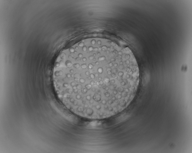 X0000111480366200908251007