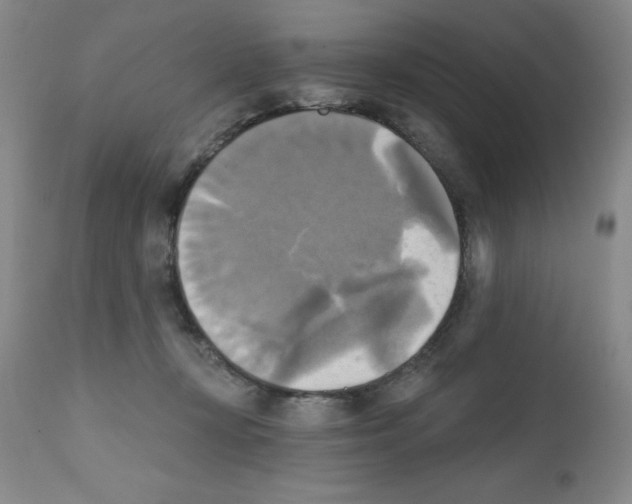 X0000111480367200908251007