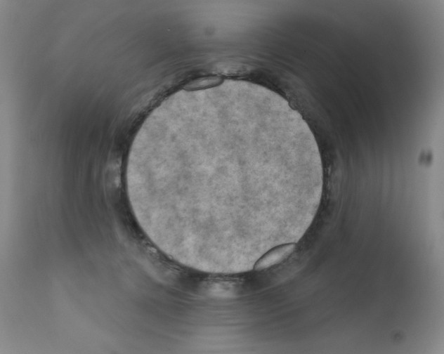 X0000111480368200908251007