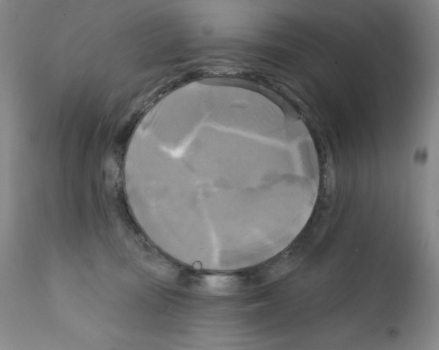 X0000111480371200908251007