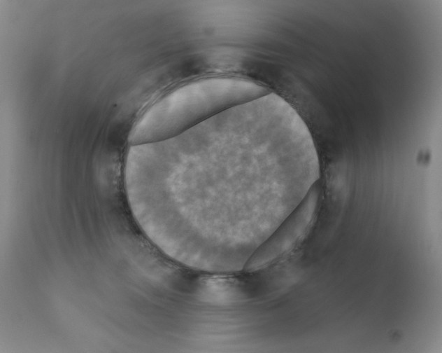 X0000111480372200908251007