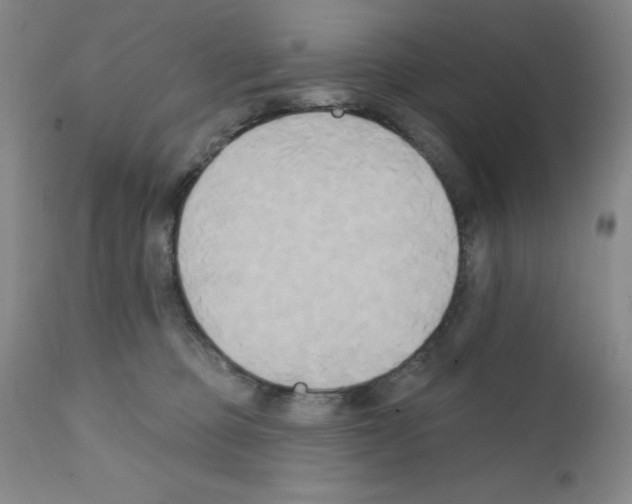 X0000111480373200908251007
