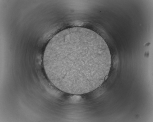X0000111480374200908251007