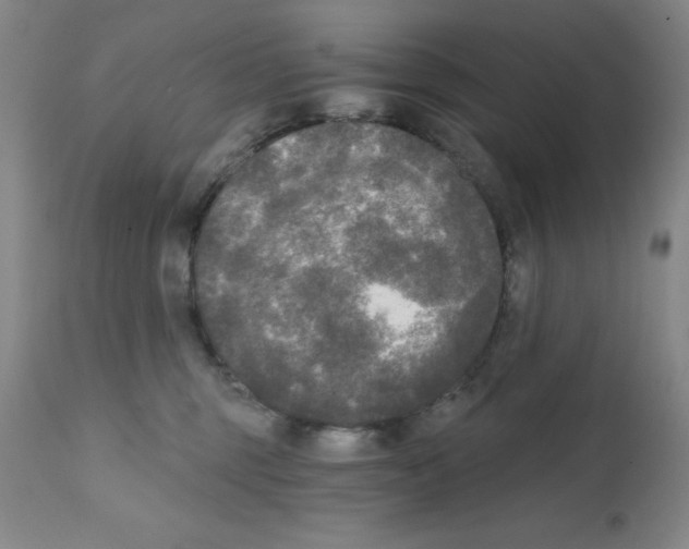 X0000111480375200908251007