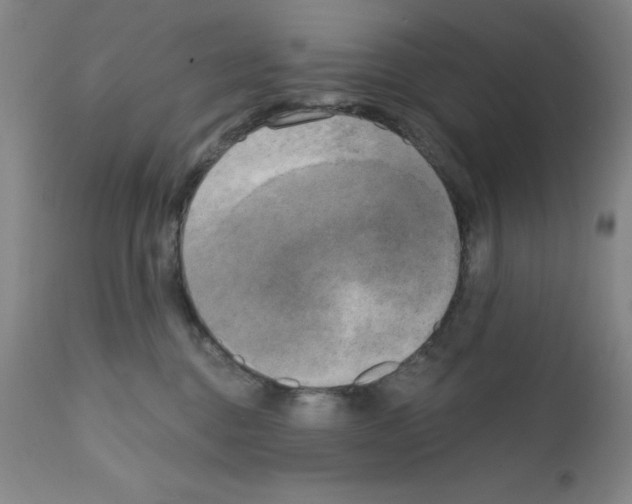 X0000111480376200908251007