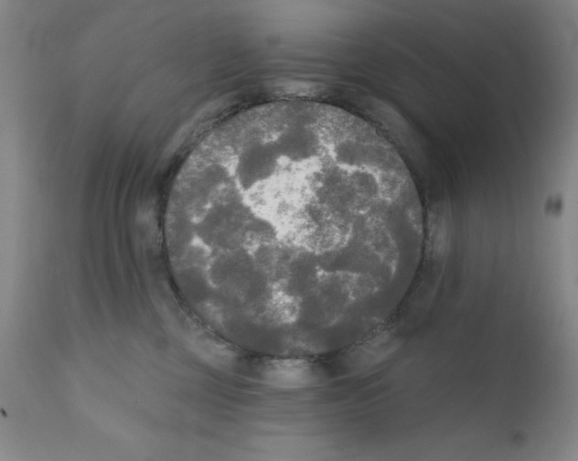 X0000111480377200908251007