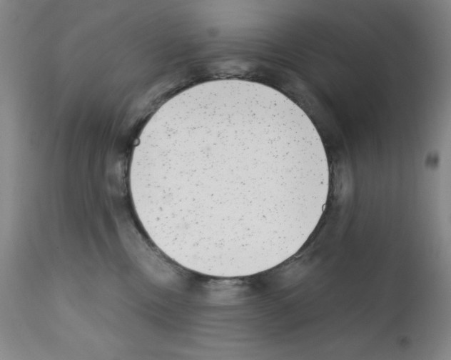 X0000111480378200908251007