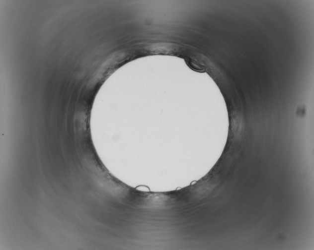 X0000111480379200908251007