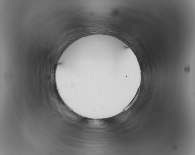X0000111480380200908251007